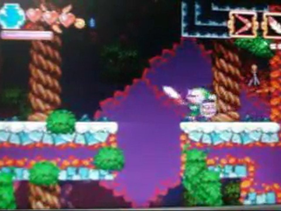 The legend of Princess (PC)