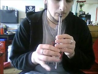 Tin whistle:The old grey goose