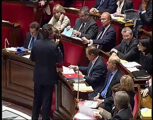 QUESTIONS AU GOUVERNEMENT - MARDI 25 JANVIER 2011