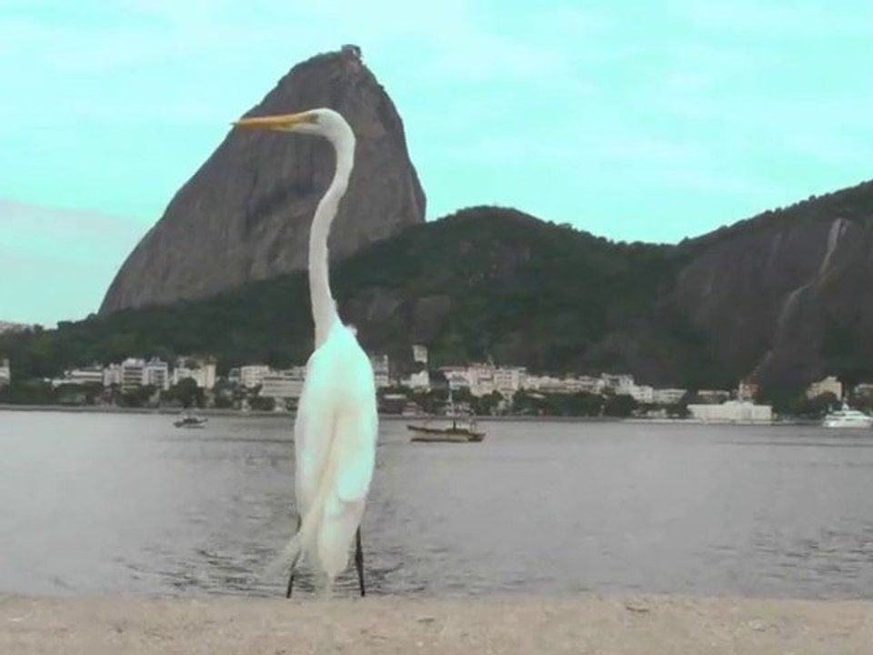 Rio