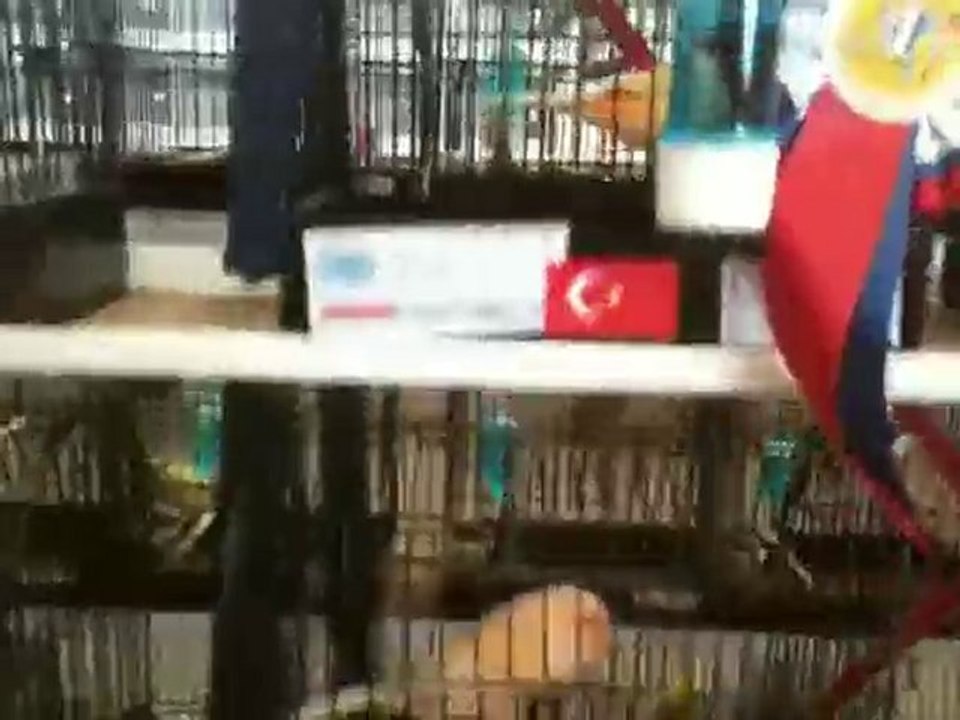 Ahmet_Kesebir_Fransa_2011_world.cup.
