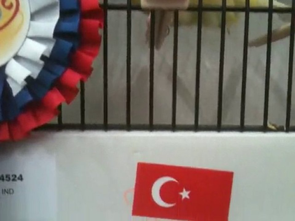 Akif_Fransa_2011_world.cup