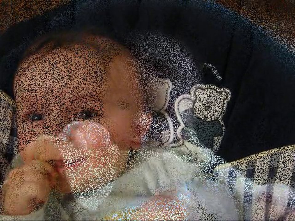 Noé 2011-01