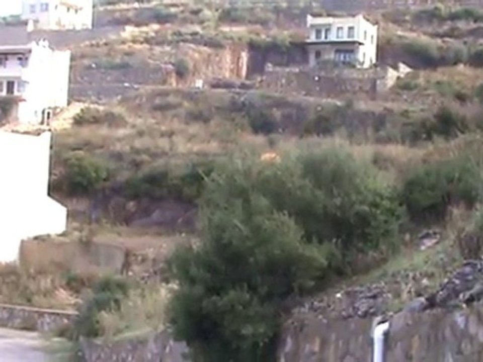 M2U00584