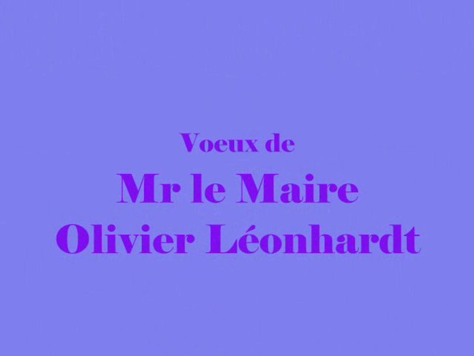 Voeux 2011