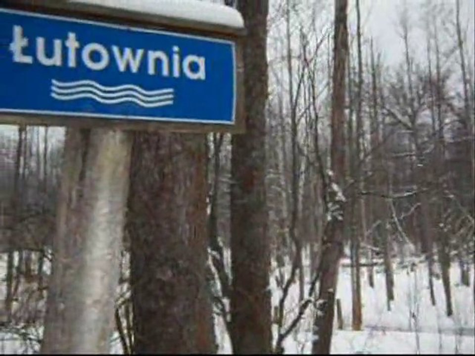 Puszcza Białowieska-Łutownia (30.01.2011)