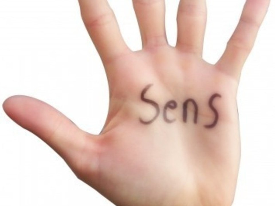 LES CINQ SENS - RENAUD