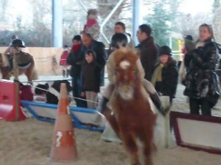 Ecuries d'estran second passage