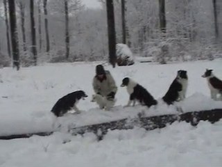 Hiver 2010