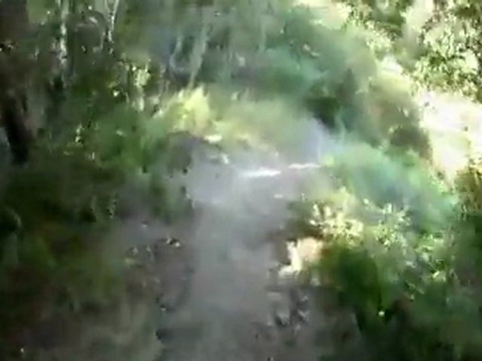 Alafia River State Park - MoonScape