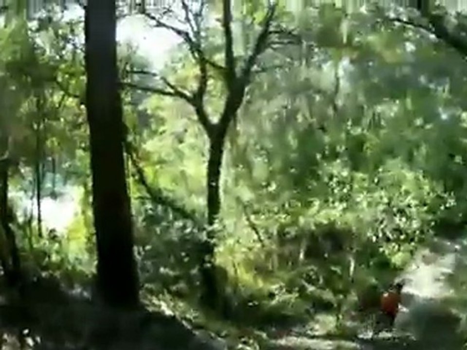 Alafia River State Park - Rabbit Ears