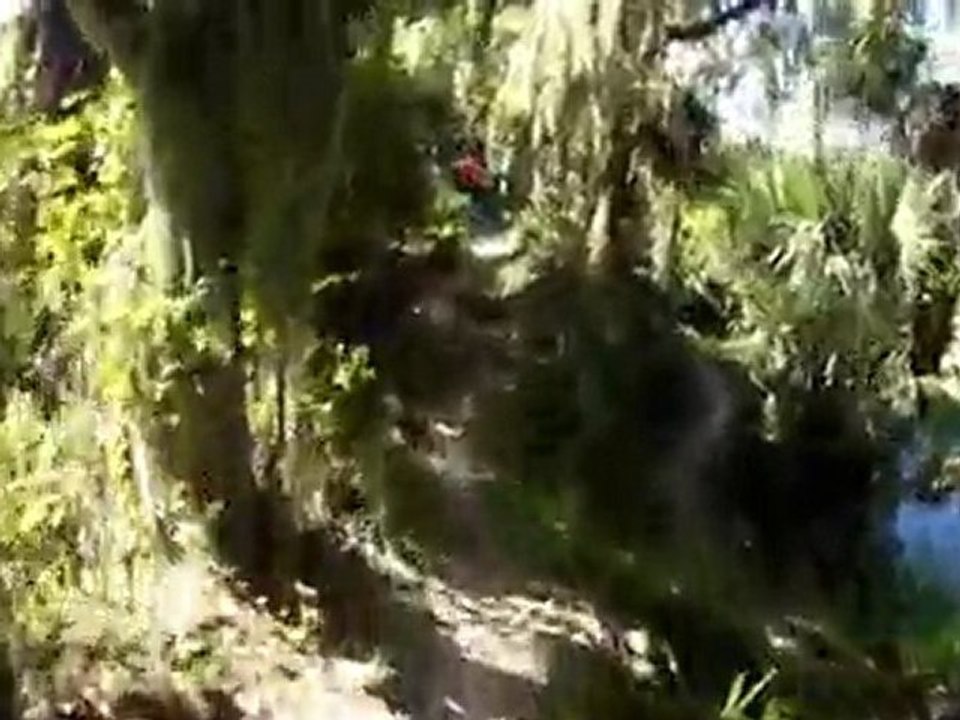 Loyce E. Harpe MTB Trails - RollerCoaster & Big Mamma's House