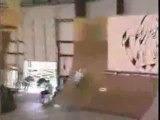 Dave Mirra, ripping a skatepark