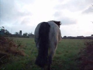 26 janv. 2010 dridri balade lib