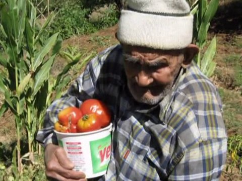 ADAM GÖZLERİME BAKTI-ŞİİR- AHMET KAYTANCI