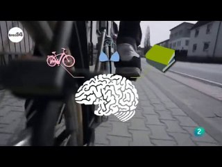 Cerebro y aprendizaje: Curisosidades cientificas