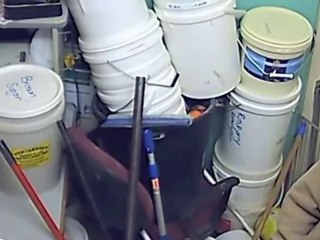 Le "voleur le plus bête du monde" ?