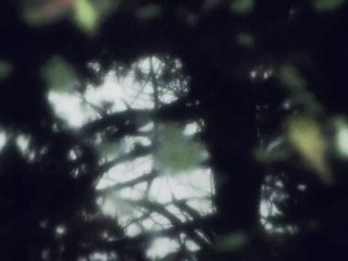 Untitled ('For Jafar Panahi & Mohammad Rasoulof') - Protest