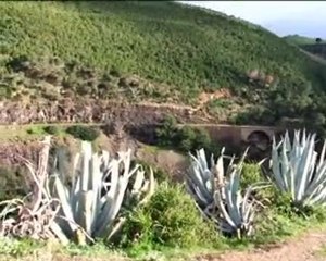 Vieux Ténès ancienne médina andalouse 2ème partie