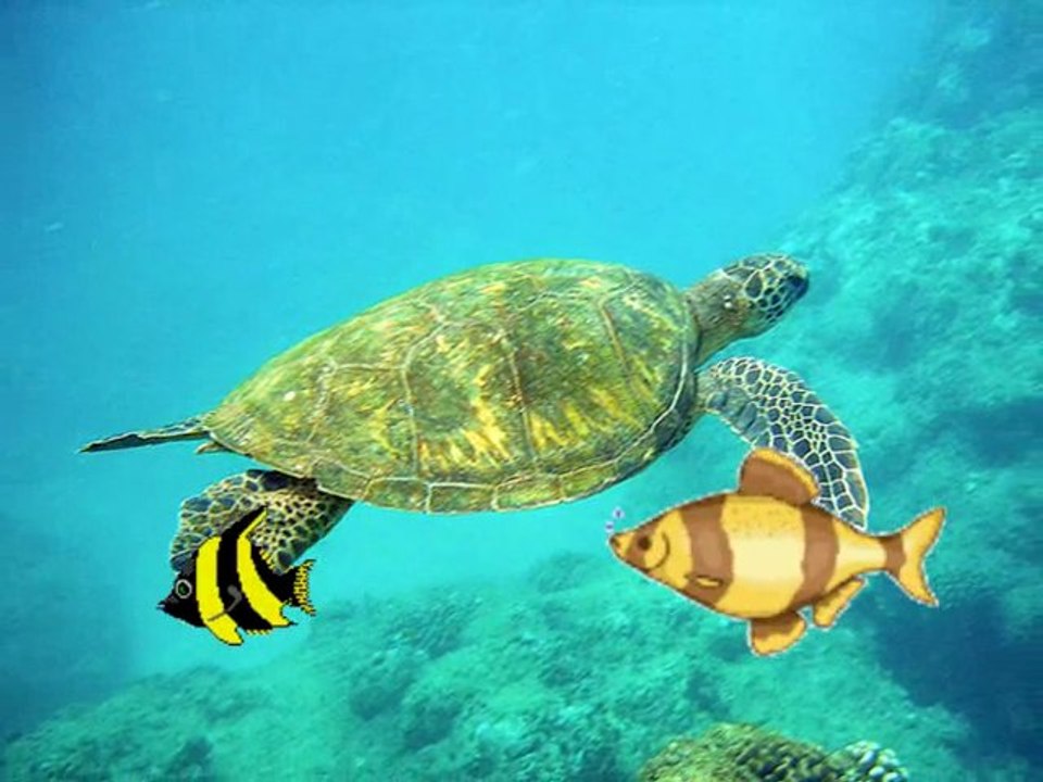 Gheorghe zamfir&james last