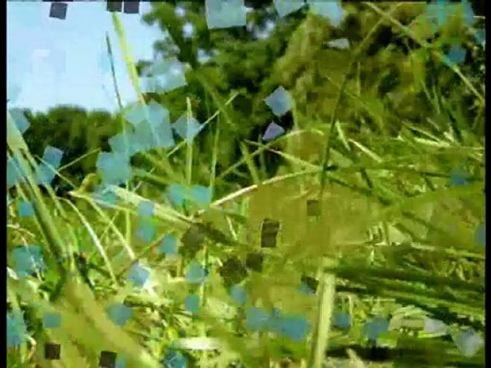 Ferhat Akın - Ferhat Şirin için dağları deldi