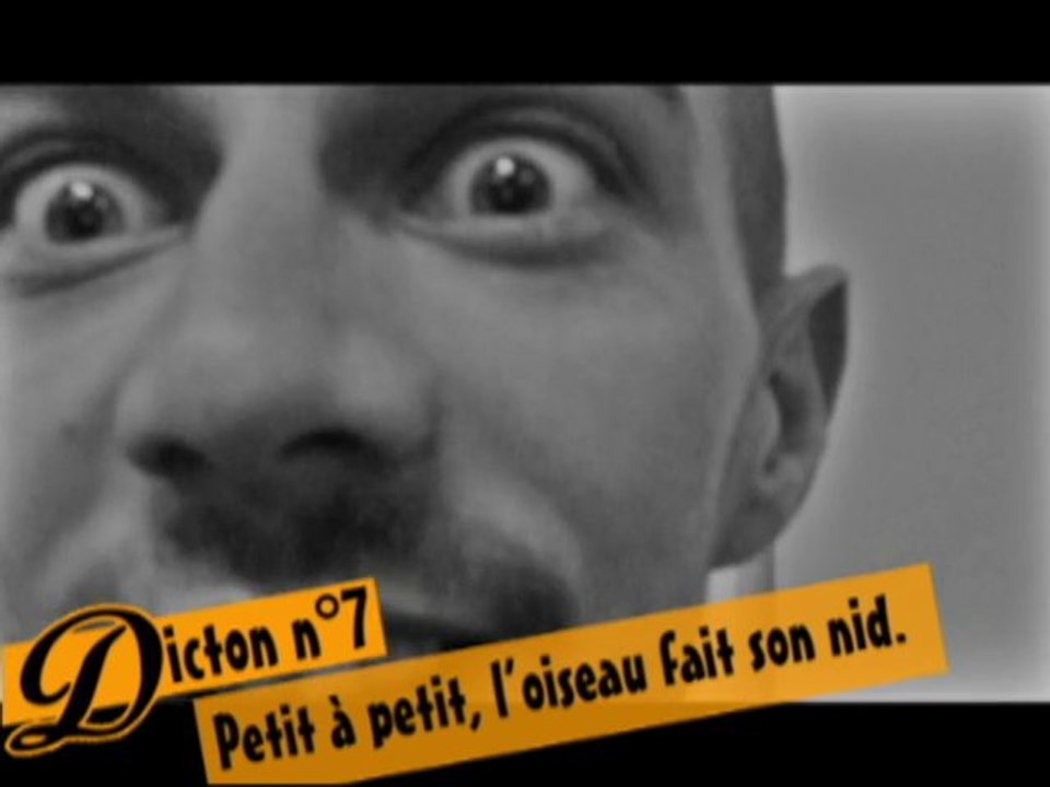 Dicton N7 Petit à Petit Loiseau Fait Son Nid