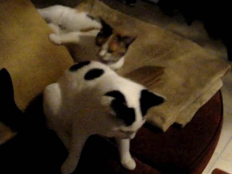 MOV07473