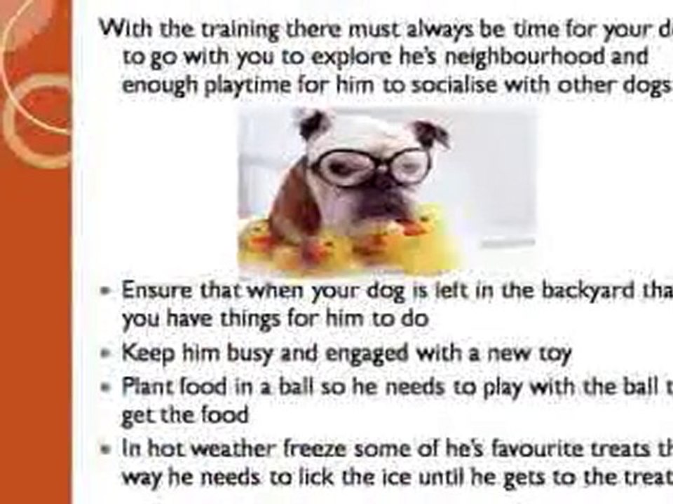 Train Dog Not To Bark - Tips That Work!