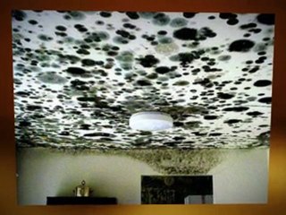 Fire and Water Damage Port St. Lucie