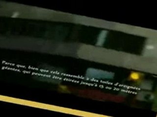 Georgia Guide Stones 2