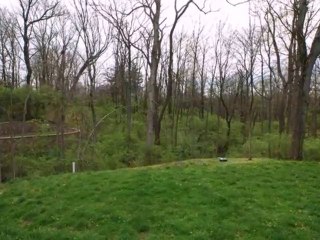 Homes for Sale - 8725 Old Indian Hill Rd - Cincinnati, OH 45243 - Elizabeth Dowling