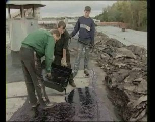 7 - Конференция по ВИР-технологии в Туле - 2007