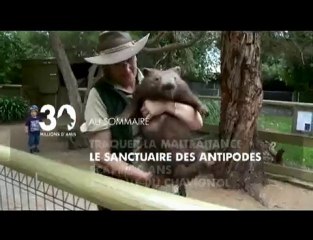 Sommaire émission 30 millions d'amis 5 02 2011