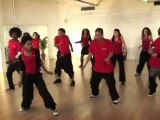 Cours de danses de l'Afriques aux Amériques via les Caraïbes