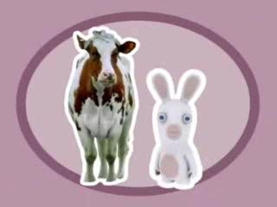 Rayman Raving Rabbids