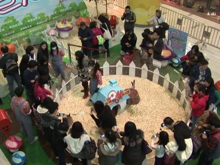 Giant rabbits bring festive cheer to Hong Kong