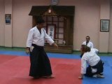 Aikido Katate-Dori Shihonage iriminage by Sensei Ayhan Kaya