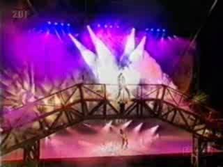 Michael Jackson (chute du pont)