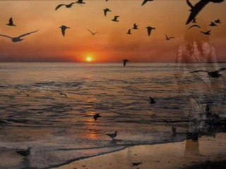 Kum Gibi...Bağlama & Yorum: Ali Elibüyük