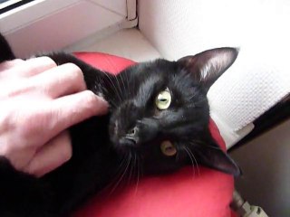 Oh ! Comme je suis malheureux !