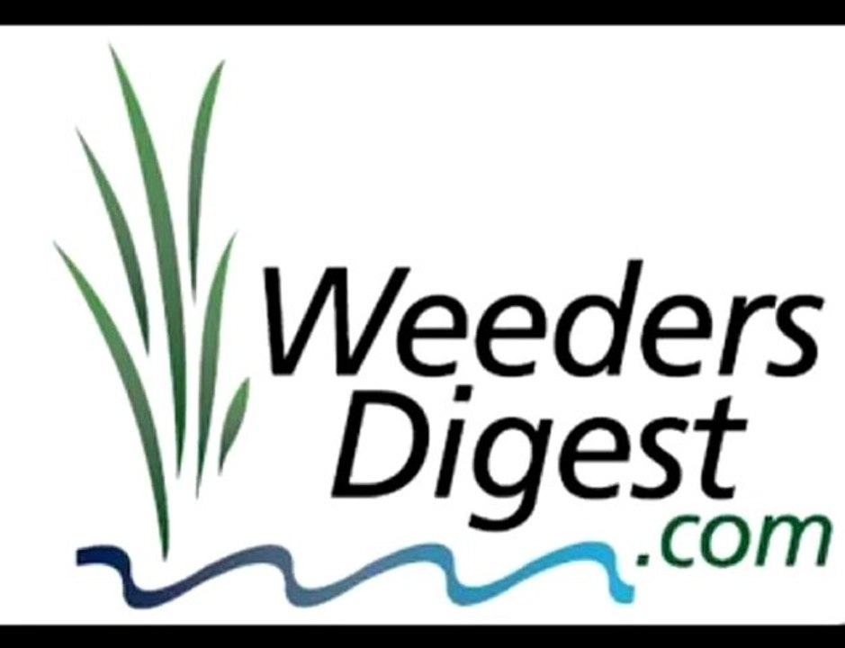 Lake Home and Cabin Show is here!