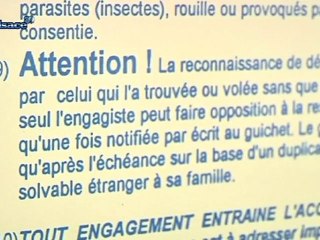 Crédit municipal: le bilan 2010 (Alsace)