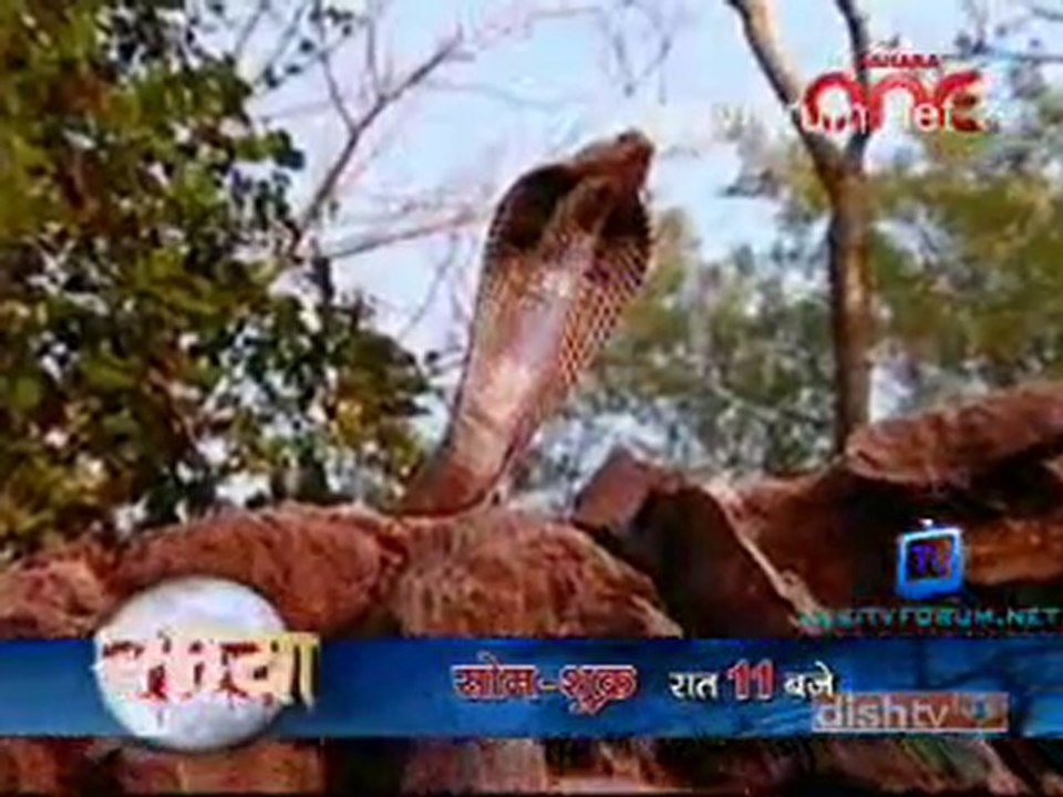 Mata Ki Chowki - 3rd Feb 2011 - Pt3