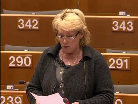 Lena Ek on Explanations of vote