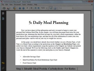 The Diet Solution Program Review