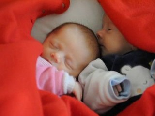 arthur tète le tête de manon