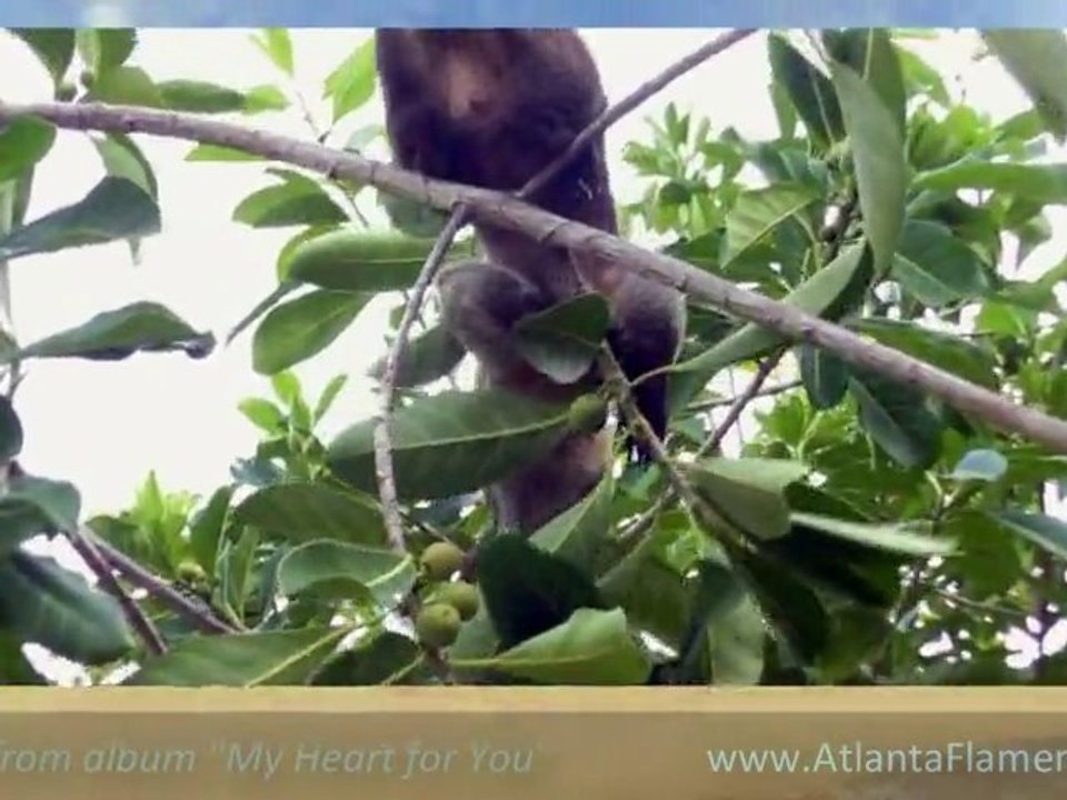 Preview of guitar album "My Heart for You" by Witold