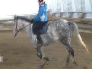 3-02-11 galop X en cercle