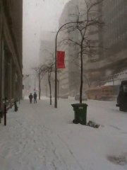 Tempête Montreal 2 février 2011