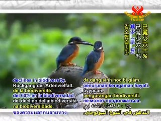 Biodiversity in Danger: The Cause and Solution - P1/2